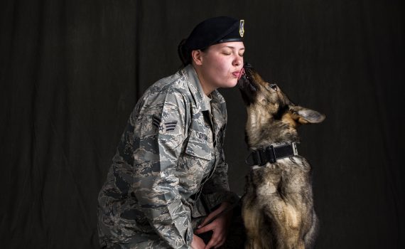 War Dogs