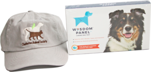CAS hat and DNA wisdom Panel gifts