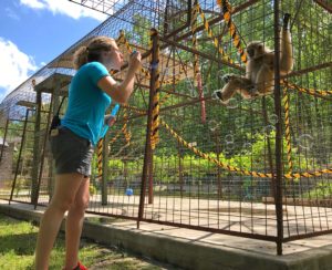 Lady-Looking-At-Gibbon-Through-Fence