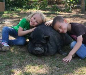 boy-and-girl-hug-potbelly-pig