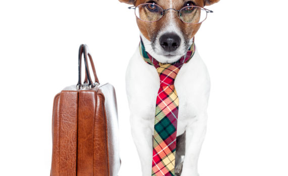 Ask a lawyer
