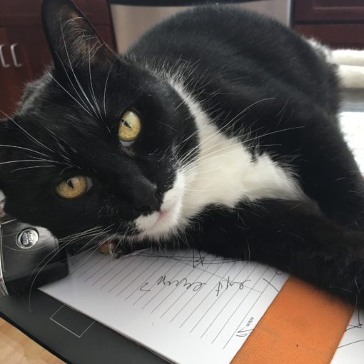 Responsible Rehoming