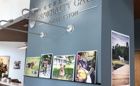 VSC Summerville Opening