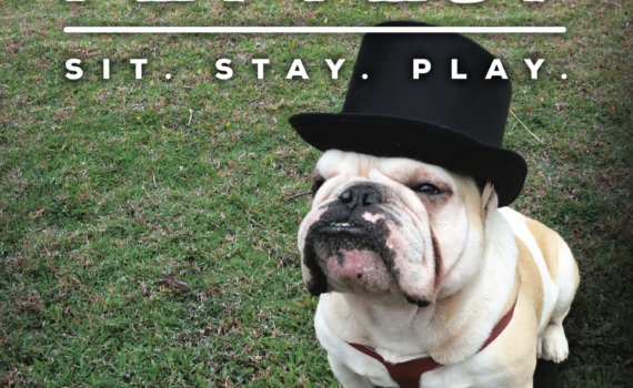 Pet Fest | Carolina Tails Magazine