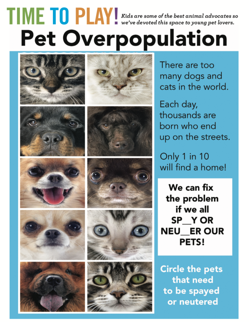 Pet Overpopulation | Carolina Tails