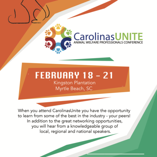 Carolinas Unite | Carolina Tails Magazine