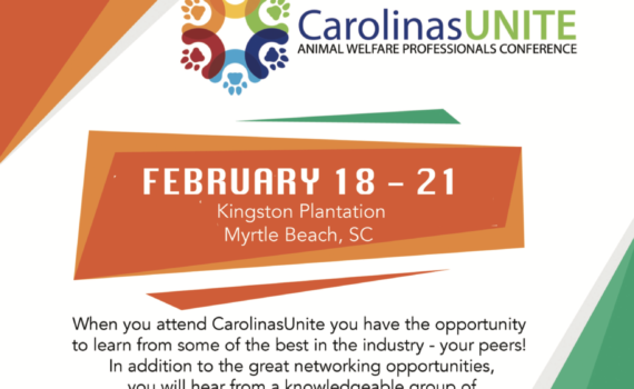 Carolinas Unite | Carolina Tails Magazine