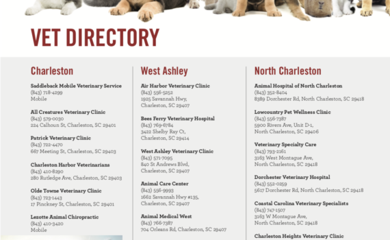 Vet Directory
