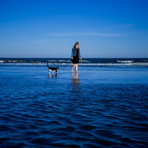 Catwalk on the Beach