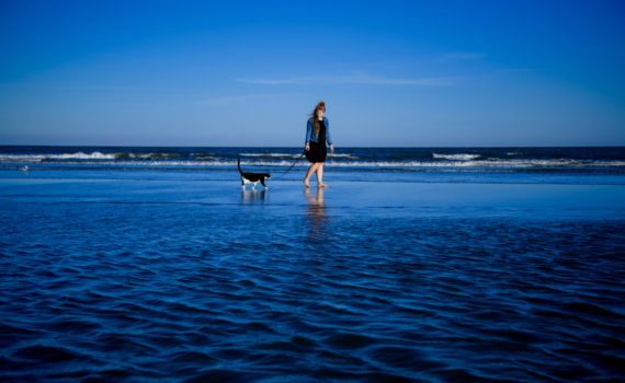 Catwalk on the Beach