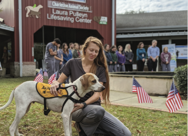 Pet Pointers Carolina Tails Magazine