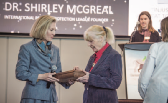 CELEBRATING 146 YEARS OF SAVING ANIMALS