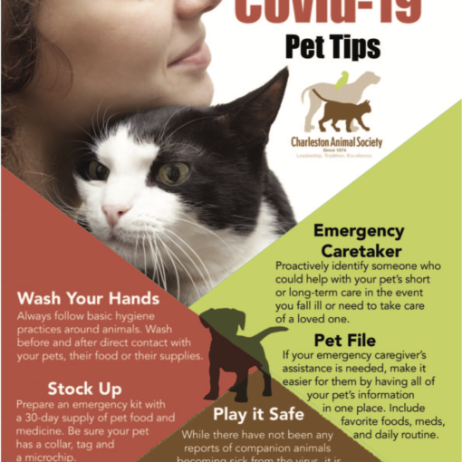 Covid19 Pet tips