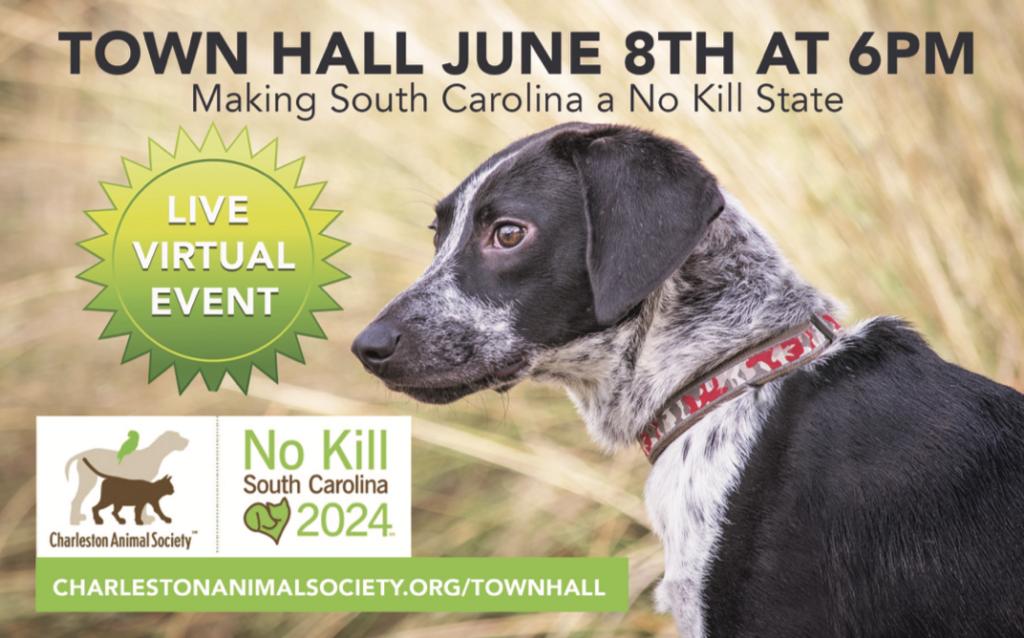 Plans Underway to Make South Carolina a No Kill State! Carolina Tails